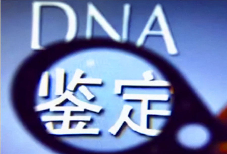 苏州司法亲子鉴定多少钱的费用,苏州司法DNA亲子鉴定如何做