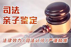苏州司法亲子鉴定基本流程