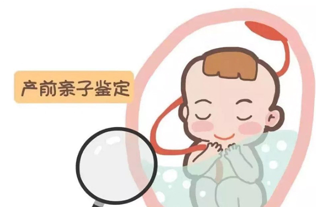 苏州怀孕五个月需要怎么办理无创产前亲子鉴定,苏州办理无创孕期亲子鉴定收费明细